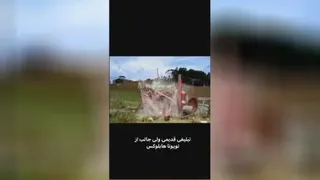 تبلیغ خلاقانه تویوتا