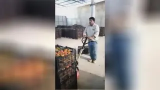 بسته بندی شیک و تمیز جهت صادرات به روسیه با کیفیت بسیار عالی