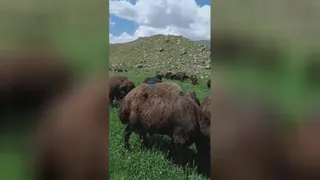 طبیعت زیبای سهند