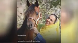 بختیاری