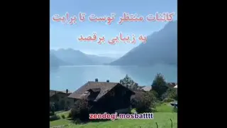 ساز دلتو کوک کن تا حال دلت کوک بشه