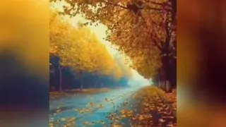 پائیر آمده