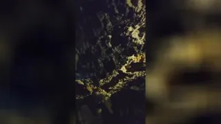 غار علیصدر