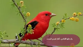 جملات زیبا و انگیزشی