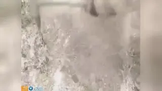 عجایب روزگار