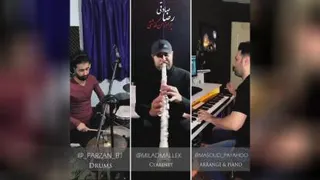 رضا صادقی