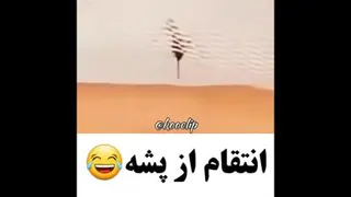 انتقام سخته از پشه😂