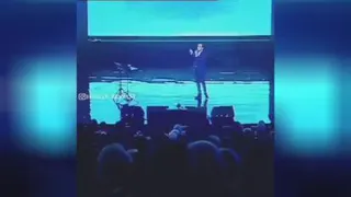 از لولو به هلو