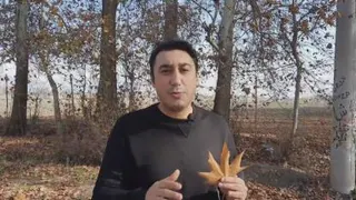 آموزش آنلاین زبان انگلیسی در زندگی واقعی با استاد پیام وطندوست
