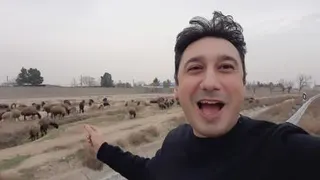 آموزش مکالمه آنلاین زبان انگلیسی در زندگی واقعی با استاد پیام وطندوست
