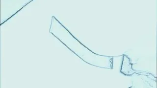 اجرای حروف با خطوط خوشنویسی سبحان مهرداد محمدپور(سبحان میرزا)