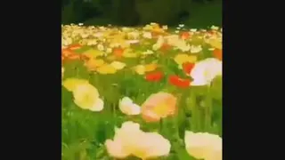 جان جانان