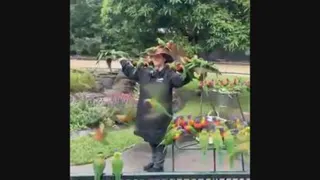 پرندگان