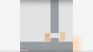 چرخه زندگی آدمها