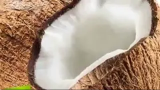 پاسخ کشیش