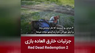 بازیه رد دد