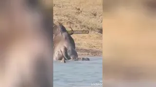 جدال بامشکلات
