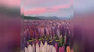 اعتماد به نفس 💫
