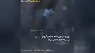 سخنان زیبای دکتر فرهنگ هلاکویی