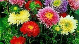 فیلم آموزشی