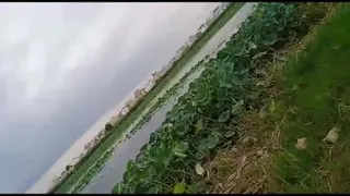 تالاب