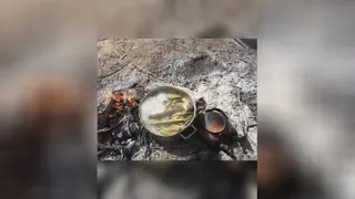 بهار زیبا