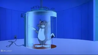 موش-گربه