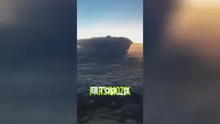 استاد شجریان