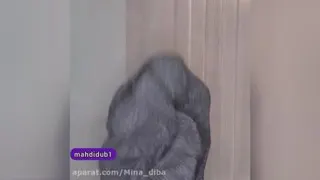 ویدیو طنز مهدی داب ، دیدی؟