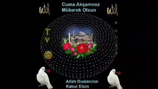 هفته وحدت