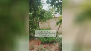 پیام امروز💖