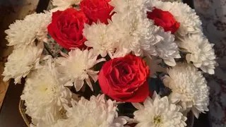 مختصات3