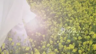 عاشقانه با امام عصر