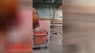 مادر را نمیشود از شوهر جدا کرد