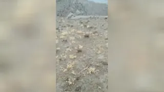 طبیعت زیبای روستای ماخ