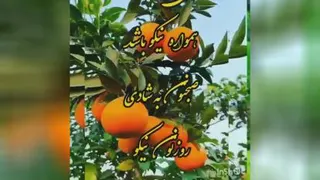 انگیزشی