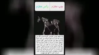 عجایب مغز