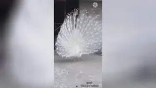 عظمت بی پایان الهی