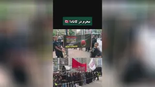 امام همه