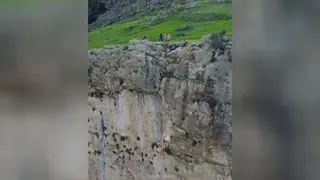 ایرانگردی