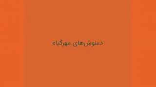 دمنوش های گیاهی و میوه ای مهر گیاه