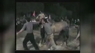 معجزهٔ حضرت اباالفضل علیه السلام