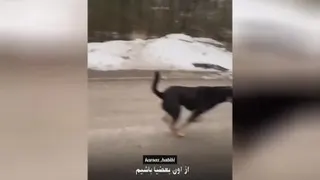 مهربان باشیم