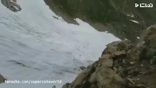 یکم خنده شادی هم بدک نیس