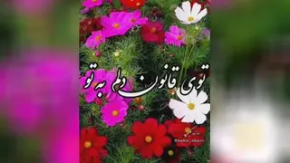 گوش کن لذت ببر