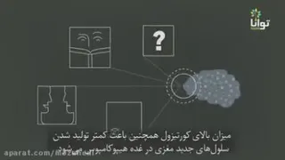 تاثیر استرس بر مغز