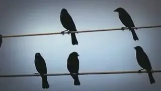 نت های موسیقی جالب