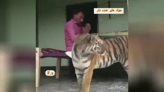 طنز باحال