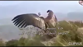 انگیزشی