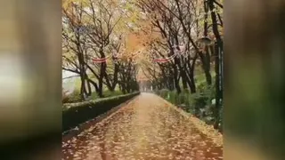صبحتوووون بخیر